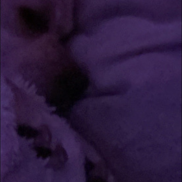 Meet your Posher, Brianna - Picture 1 of 1